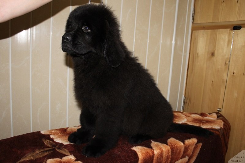 Фото: [d12420] 3 мес 5 дней