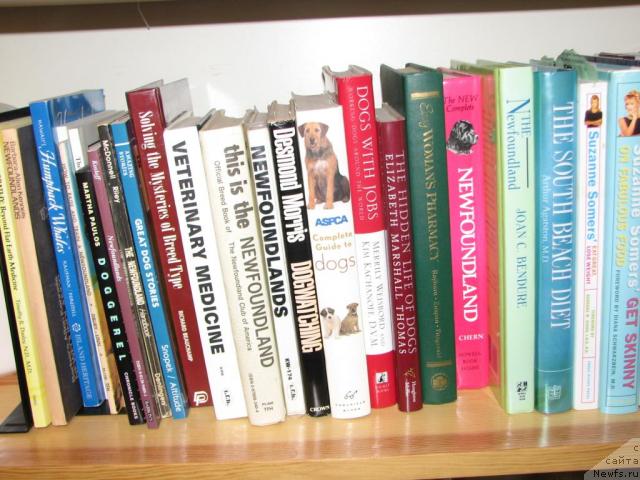 Фотография № 12638