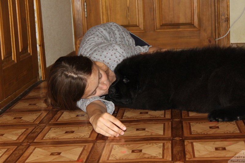 Фото: [d12420] 3 мес 5 дней