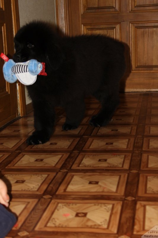 Фото: [d12420] 3 мес 5 дней