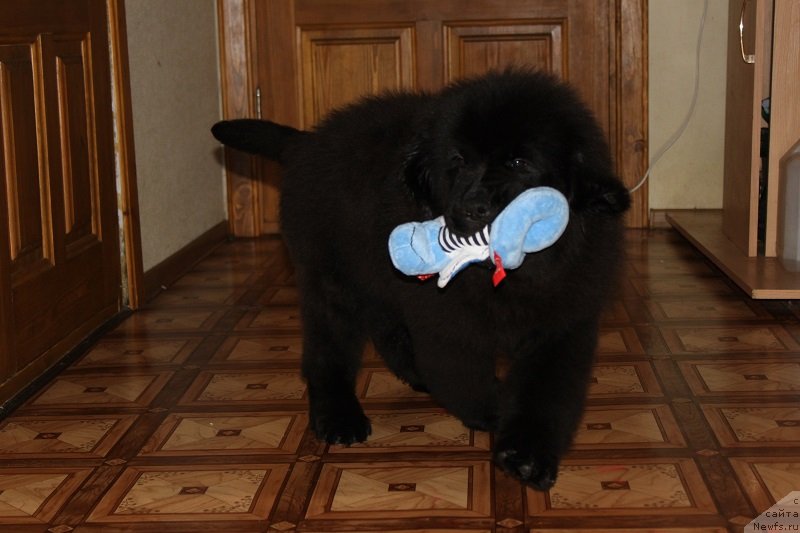 Фото: [d12420] 3 мес 5 дней