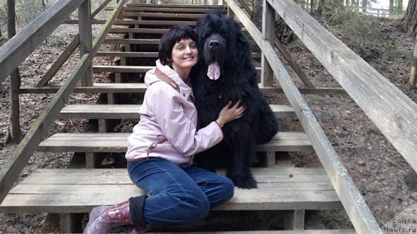 Фотография № 126385