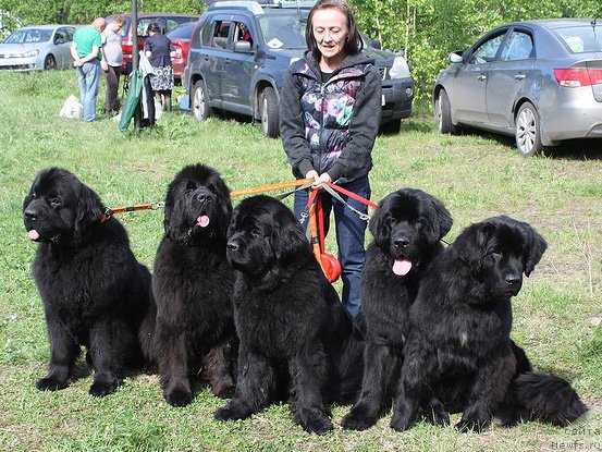 Фотография № 126388