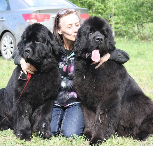 Фотография № 126390