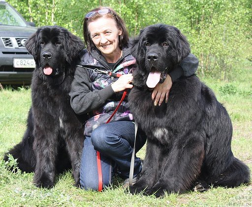 Фотография № 126393