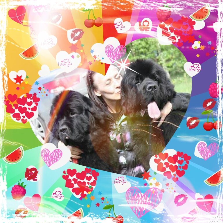 Фото: ньюфаундленд Beguschaya po Volnam Zephirine Drouhin (Бегущая по Волнам Зефирин Друэн), Ol'ga Koroleva (Ольга Королева), ньюфаундленд Beguschaya po Volnam Dancing Queen (Бегущая по Волнам Дансинг Квин)