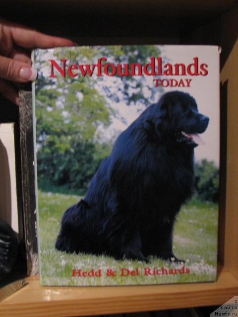 Фотография № 12641