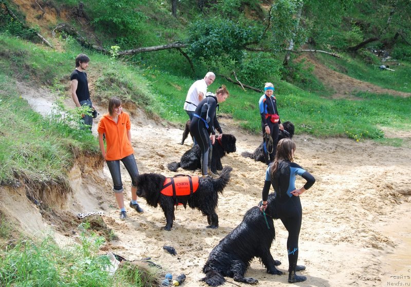 Фотография № 126418