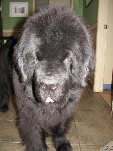 Фотография № 12642