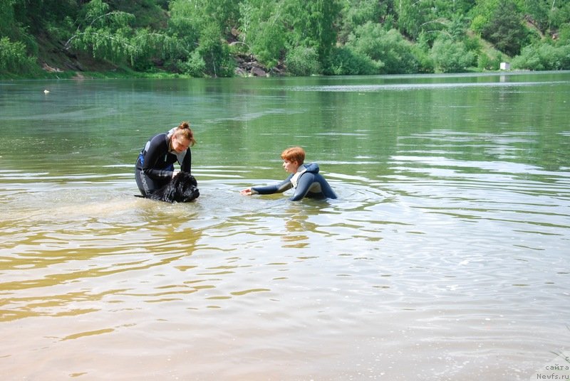 Фотография № 126420