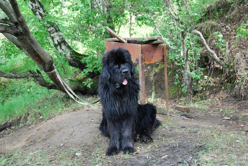 Фотография № 126422