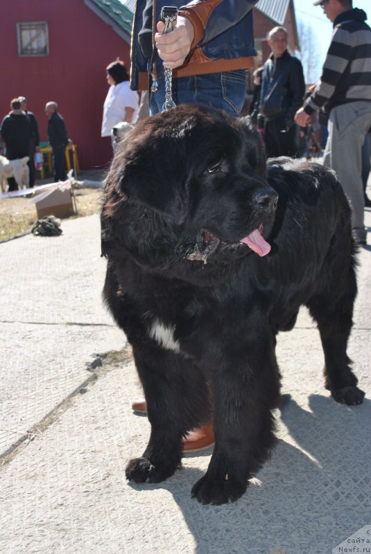 Фотография № 126433