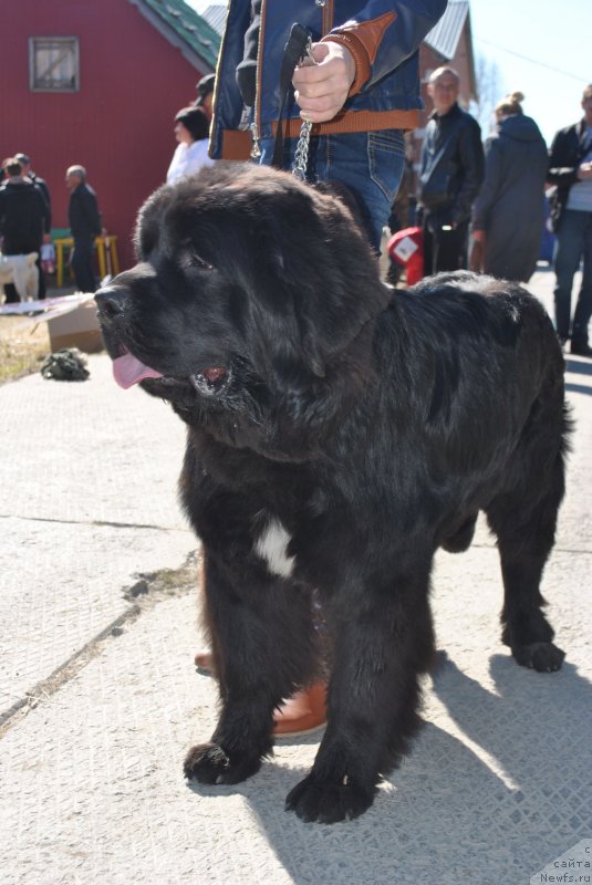 Фотография № 126436