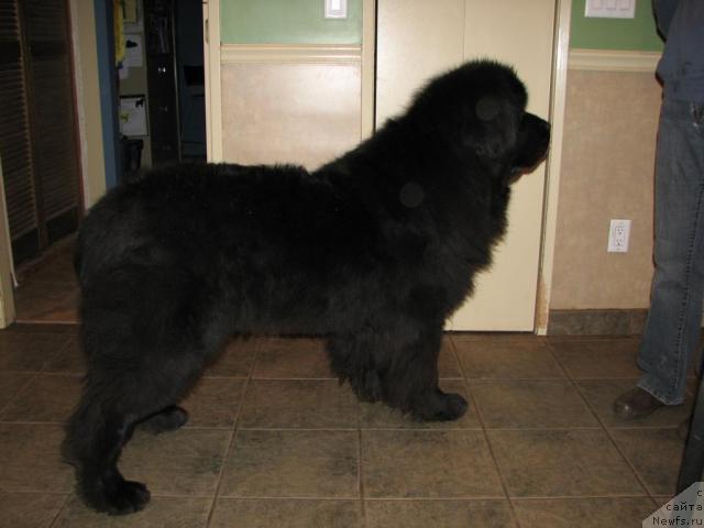 Фотография № 12644