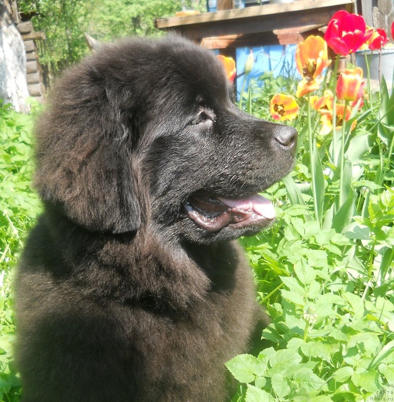 Фотография № 126506