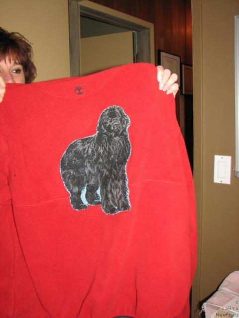 Фотография № 12651