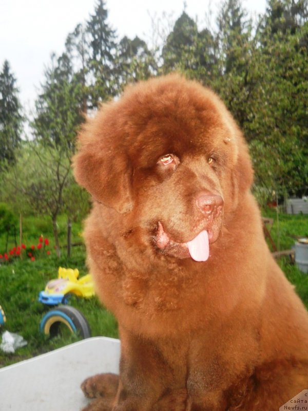 Фотография № 126510