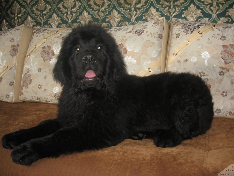 Фото: Kristina Esina (Кристина Есина)