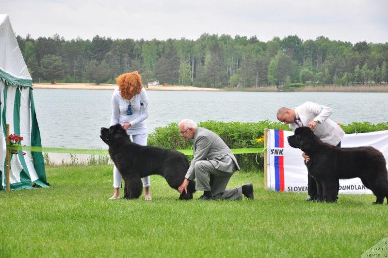 Фотография № 126526