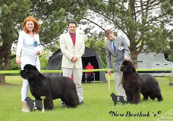 Фотография № 126530