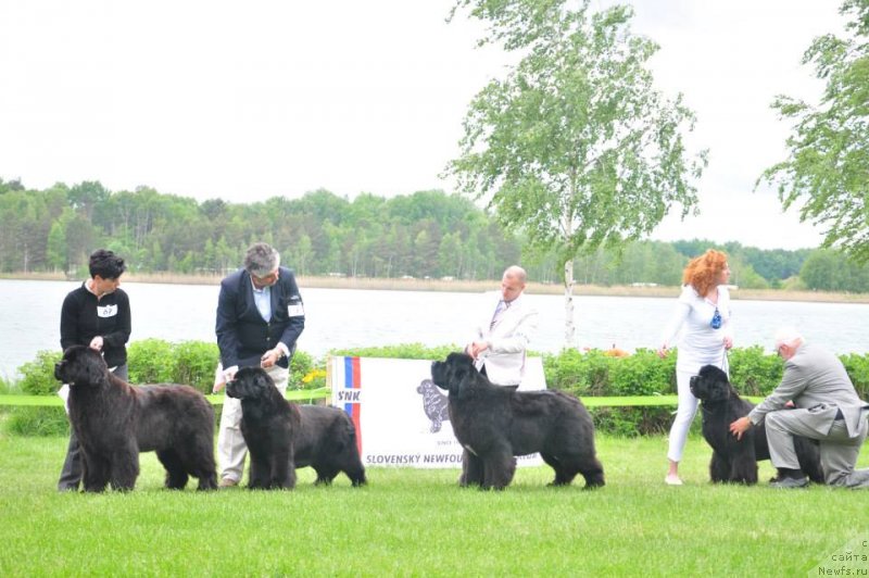 Фотография № 126531