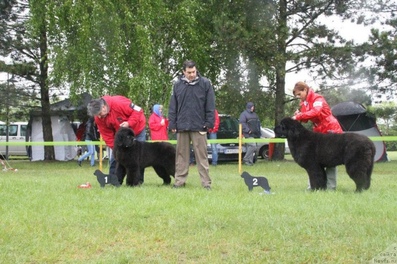 Фотография № 126533