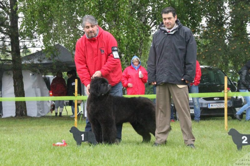 Фотография № 126534