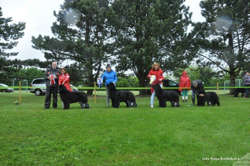 Фотография № 126536