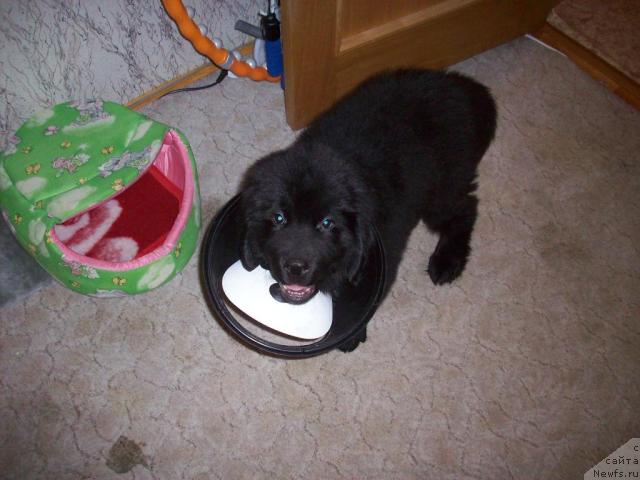 Фото: YAna Ramazanova (Яна Рамазанова)