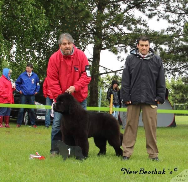 Фотография № 126540