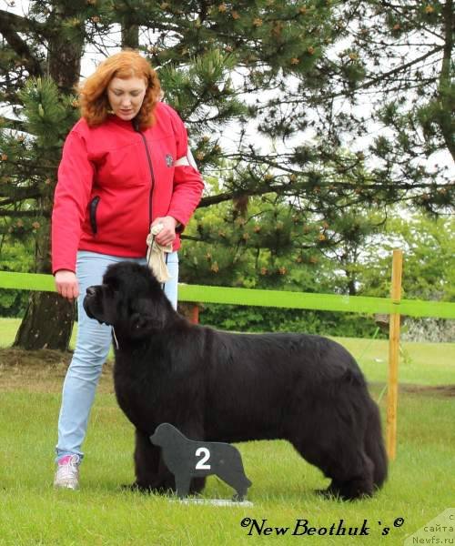 Фотография № 126541