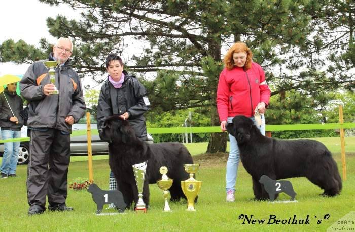 Фотография № 126542