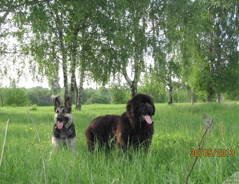 Фотография № 126571