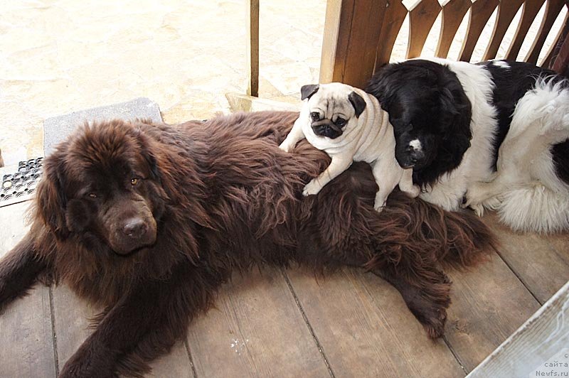 Фотография № 126580