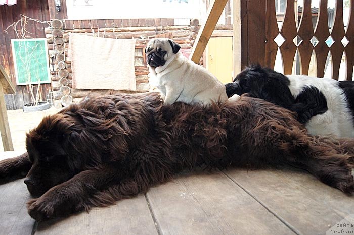 Фотография № 126611