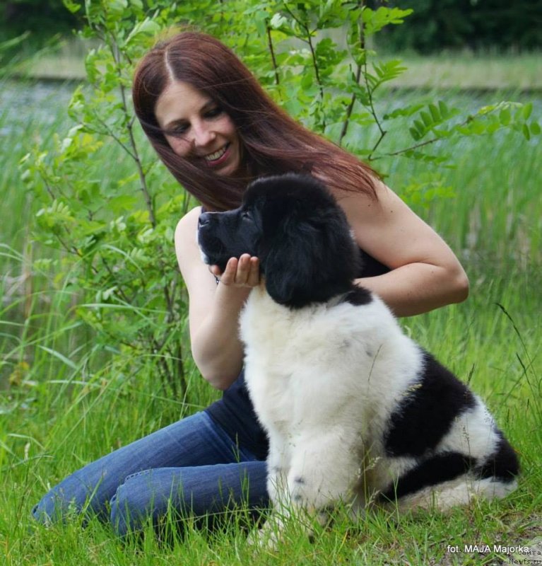 Фотография № 126660