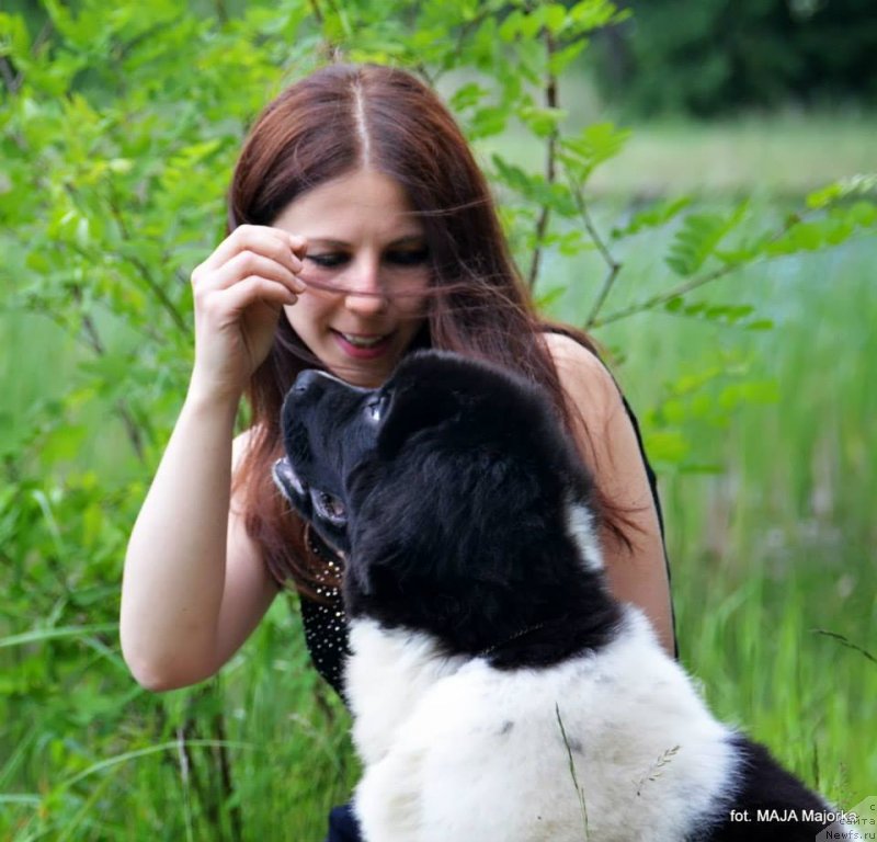 Фотография № 126661