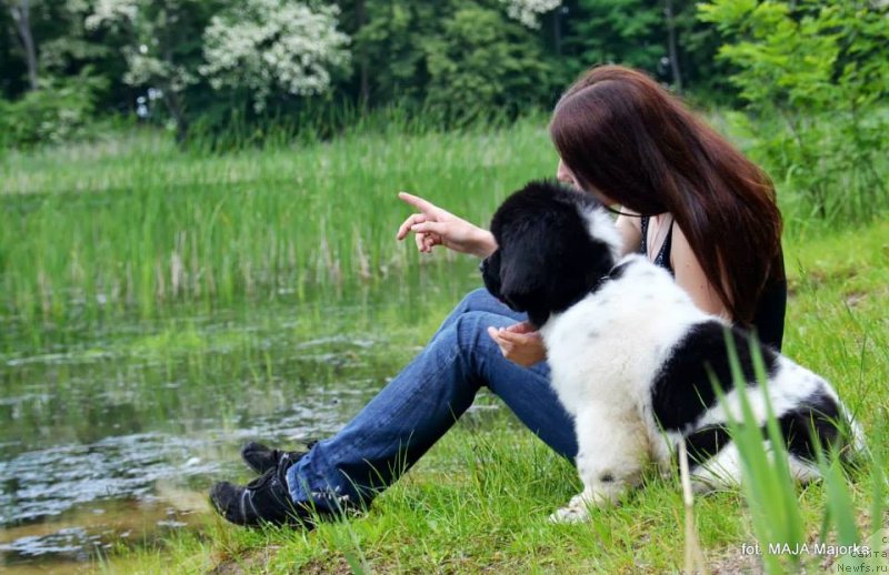 Фотография № 126662