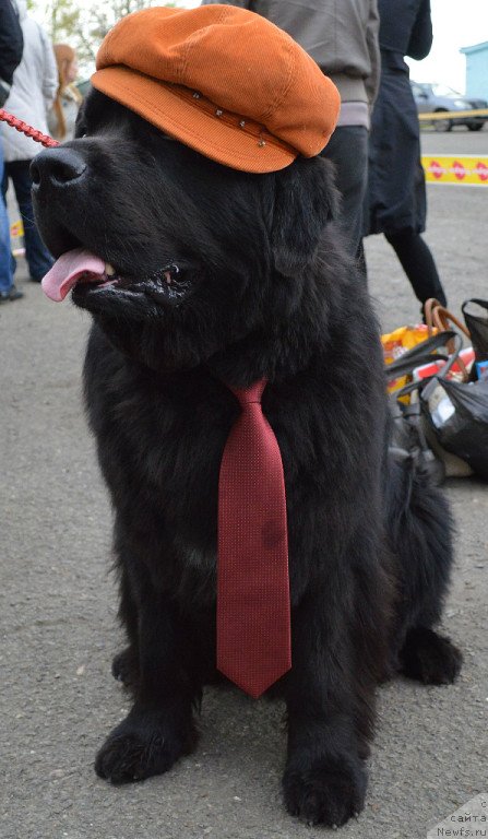 Фотография № 126699