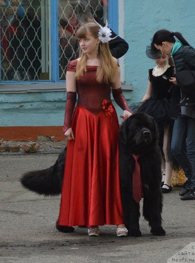 Фотография № 126700