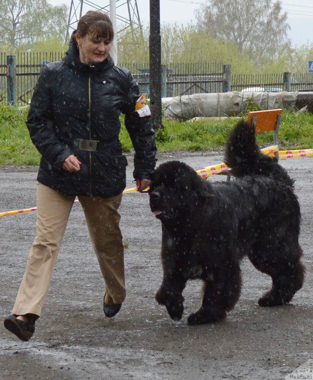 Фотография № 126701