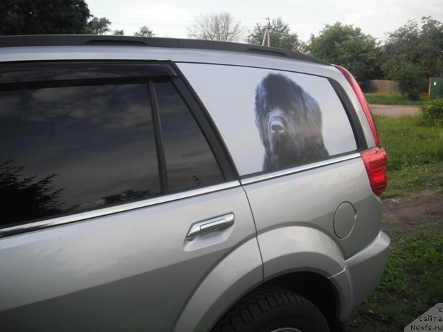 Фотография № 126798