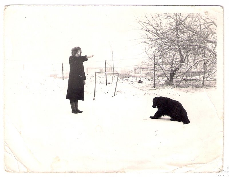 Фотография № 126806