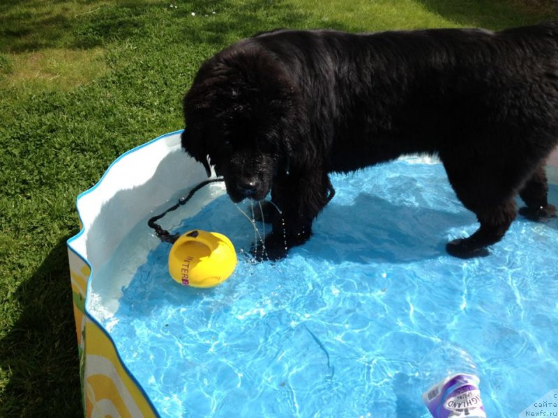 Фотография № 126819