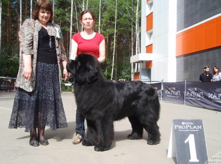 Фотография № 126821