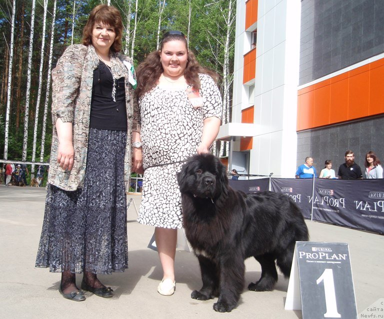 Фотография № 126822