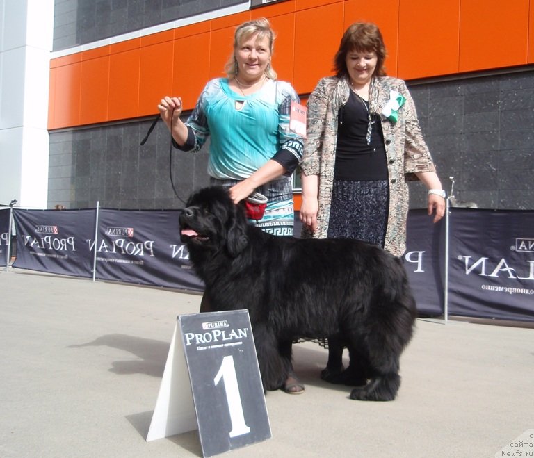 Фотография № 126823