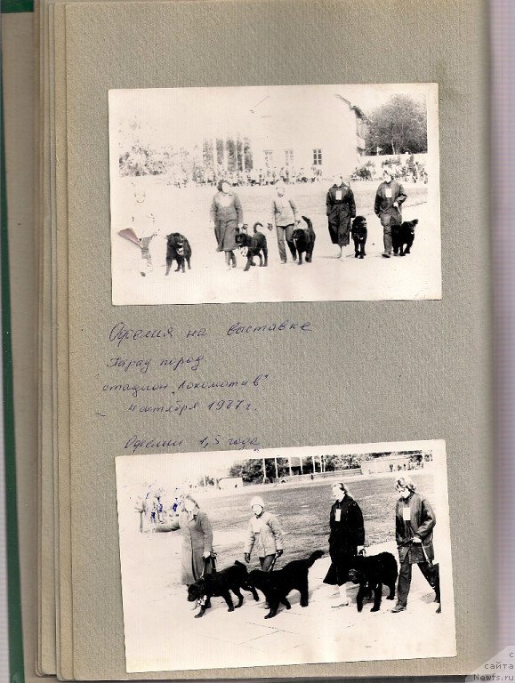 Фотография № 126824