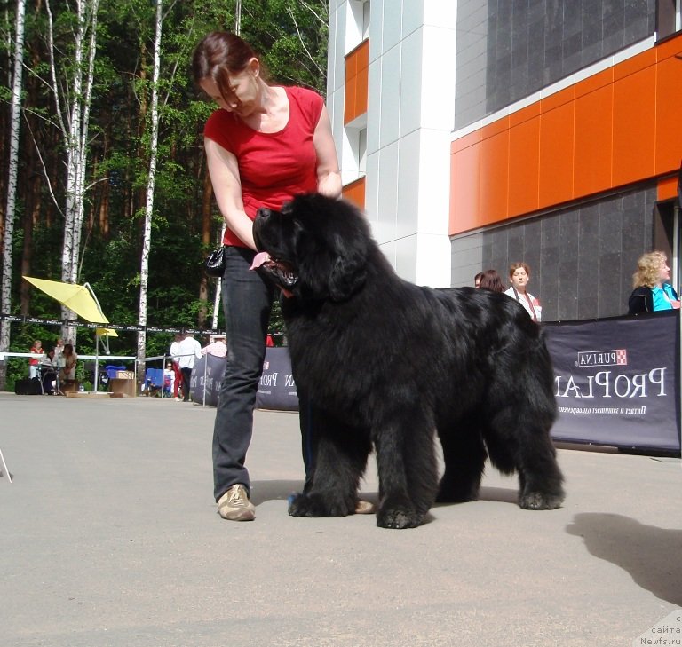 Фотография № 126833