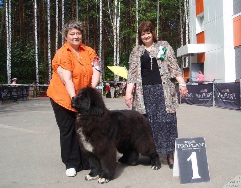 Фотография № 126840